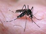 Texas detecta un caso de zika transmitido por contacto sexual