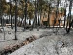 El ex jefe de Operaciones insinúa que sufrió un cese encubierto tras el incendio de Horta de Sant Joan