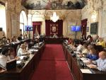 Limasa protagoniza el último pleno del curso político en el Ayuntamiento de Málaga