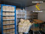 Intervenidas 26 toneladas de caracoles en una nave de Sevilla