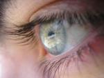 Cerca de 5 millones de españoles están en riesgo de padecer ceguera por enfermedades de la retina