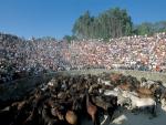 La Rapa das Bestas espera congregar a unas 20.000 personas entre el jueves y el lunes en Sabucedo (A Estrada)