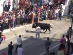 Concluyen las fiestas de los toros en la provincia con dos heridos "leves" en Arcos y Paterna
