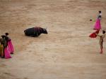 Abolicionistas llaman a un "frente político" para abolir las corridas de toros en Galicia