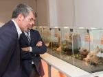 La Fundación Neotrópico estrena nuevas instalaciones con más de setenta animales