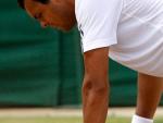 Tsonga, el líder francés contra España, con molestias después de Wimbledon