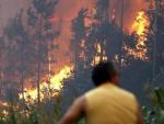 Más de 750 profesionales combaten 17 incendios en Portugal