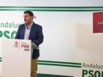 PSOE subraya que "el desconcierto" del PP y del Gobierno "los conduce a mentir" con el proyecto de Gas Natural