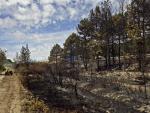 Arden 75 hectáreas de escobas, jaras y pastos en Carbajales de Alba (Zamora)