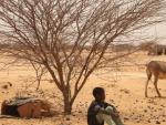 Zimbabue eleva a cuatro millones las personas que necesitan ayuda humanitaria a causa de la sequía