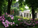 Abierto el plazo para solicitar becas del proyecto europeo Synthesys en el Real Jardín Botánico y en el MNCN