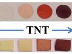El polímero cambia de blanco a rojo en presencia del TNT