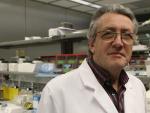 Jordi Segura dice que "el siguiente paso es el dopaje genético"