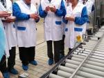 Central Lechera Asturiana invierte 2 millones para remodelar la planta de yogures