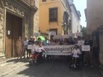 Nueva manifestación para pedir la reapertura del Museo Arqueológico de Granada tras seis años cerrado