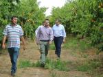Martínez pide al Gobierno central que "tenga en cuenta" a los agricultores de C-LM en la prórroga del Decreto de Sequía