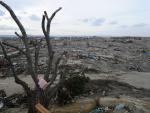 Más de 70.000 niños y niñas desplazados en Japón por el terremoto, según una ong