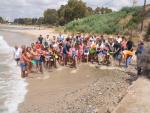 Más de un centenar de personas participan en una "regeneración simbólica" de la playa de Guadarranque