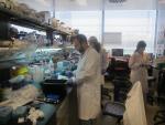 El Gobierno exhibe el potencial de la investigación pública para promover más colaboración con la industria farmacéutica