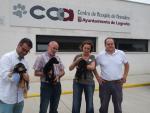 929 animales ingresaron el año pasado en el Centro Municipal de Acogida