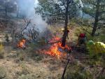 El Plan Infoca suma 721 intervenciones y logra que el 80,8% de los incendios forestales quede en conato