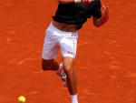 Novak Djokovic, en Roland Garros