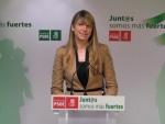 PSOE reclama un calendario de reuniones entre el Ayuntamiento de Málaga y asociaciones de cooperación