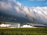 Vega Sicilia y Rothschild invierten 22 millones en Samaniego, donde se elabora su primera cosecha de Macán