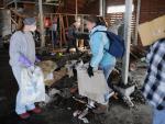 Japón elevó a nivel 5 la gravedad del accidente de Fukushima