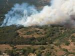Junta modifica el Plan de Emergencia por Incendios Forestales para ajustar la definición de zonas de riesgo