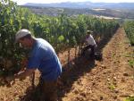El desempleo bajó en 434 personas en septiembre en La Rioja y el número de parados se sitúa en 17.943