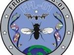 La NASA envía una tripulación de moscas a la Estación Espacial Internacional