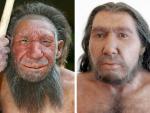 Cuestionan la coexistencia de neandertales y "homo sapiens" en la Península