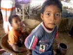 Organización denuncia 350 casos de trabajo infantil en Panamá