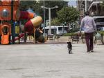 Mislata (Valencia) ofrece pruebas gratis de ADN canino para asociar los excrementos en la calle con los dueños