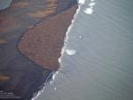 Una colonia de 35.000 morsas en la costa del noroeste de Alaska