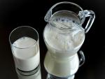 Un estudio del CIBEROBN muestra que el consumo de lácteos no incrementa el riesgo cardiovascular