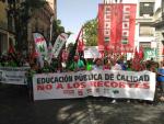 Cifran en miles los asistentes en Sevilla a la manifestación contra los recortes en la educación