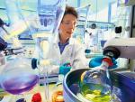 Bayer y Evotec acuerdan investigar y desarrollar nuevos tratamientos para las enfermedades renales