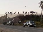 Comienzan a bajar de la valla de Melilla algunos de los inmigrantes encaramados