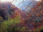 El otoño se prevé cálido y con precipitaciones normales tras un verano muy cálido y seco en Cantabria