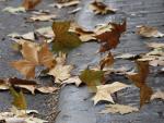 El próximo otoño será más cálido de lo normal en toda España y menos lluvioso en el noroeste de la Península
