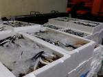 La Inspección Pesquera de la Junta decomisa 5,7 toneladas de pescado y marisco en Mercamálaga