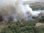 Extinguidos los incendios forestales de Fanlo (Huesca) y Bronchales (Teruel)