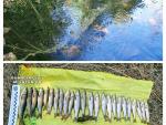 Sorprenden a una persona que usaba artes "prohibidas" para la pesca en un río en Castañar de Ibor