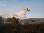El Ministerio de Medio Ambiente ha intervenido 142 veces en 55 incendios forestales en Andalucía en lo que va de año