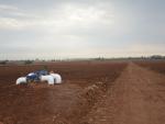 Gobierno murciano pide que no se criminalice al sector agrícola porque "está comprometido con el medio ambiente"