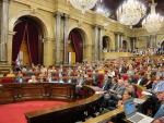 El sector anticapitalista de Podem reitera su apoyo a la ley del referéndum