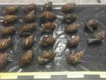 Intervenidos 22 caracoles gigantes africanos de una especie invasora dentro de una maleta en el aeropuerto de Bilbao