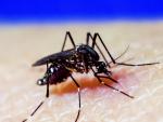 El H. San Pedro da de alta al primer caso importado de virus Zika que se ha detectado en verano en La Rioja